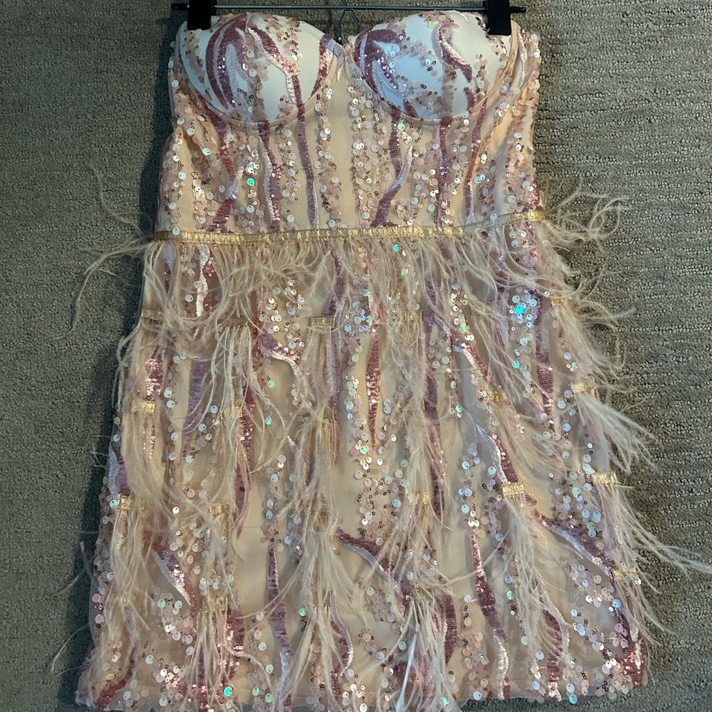 Sparkly dress with feathers- wore for Taylor Swift